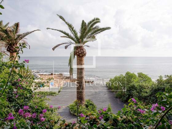 Imagem da propriedade : 4