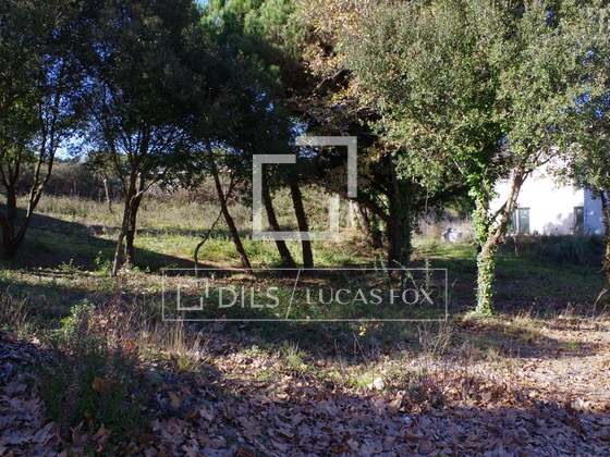 Imagem da propriedade : 3