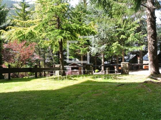 Imagem da propriedade : 4