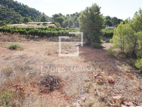 Imagem da propriedade : 2