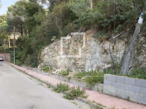 Imagem da propriedade : 2