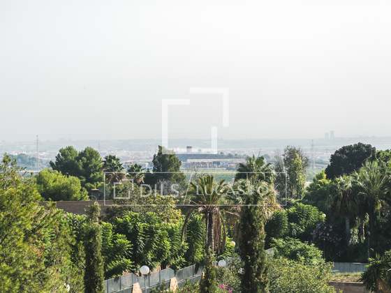 Imagem da propriedade : 3