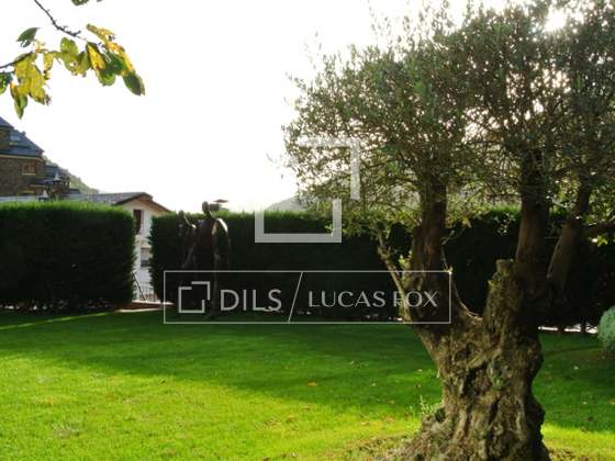 Imagem da propriedade : 4