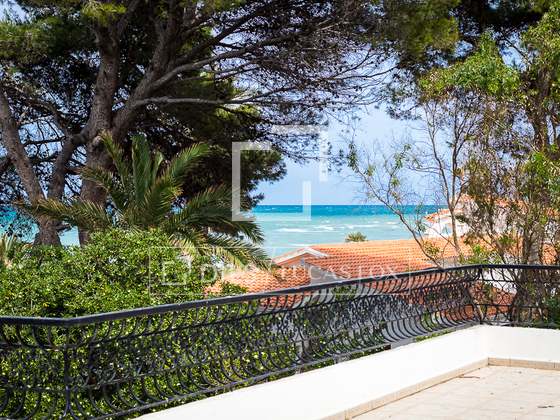 Imagem da propriedade : 3