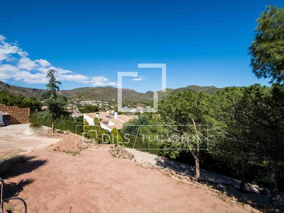 Imagem da propriedade : 4