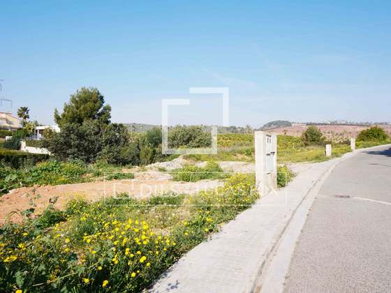 Imagem da propriedade : 3