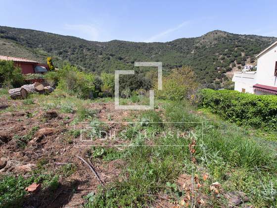 Imagem da propriedade : 4