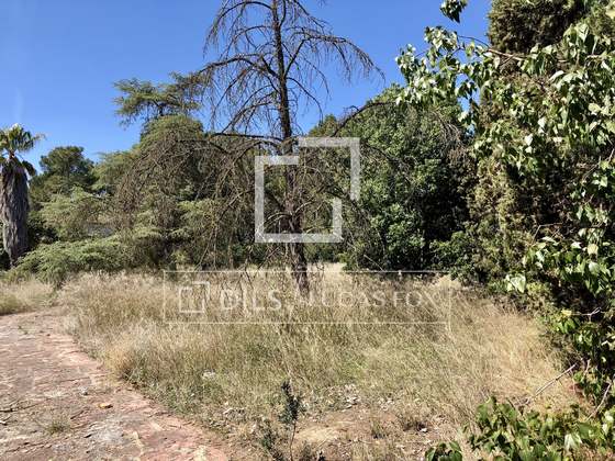 Imagem da propriedade : 3