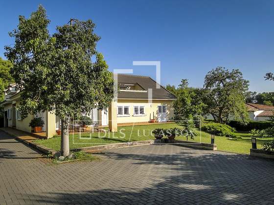 Imagem da propriedade : 4