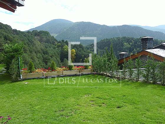 Imagem da propriedade : 4