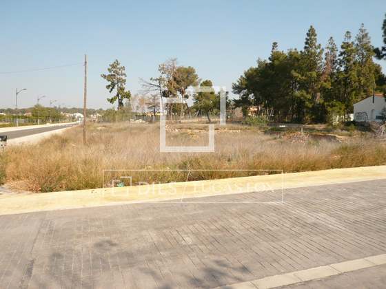 Imagem da propriedade : 3