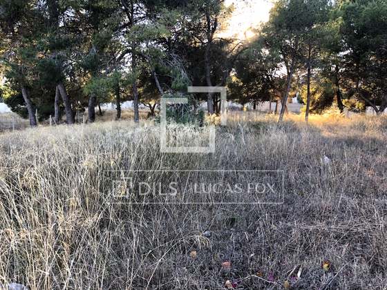 Imagem da propriedade : 4