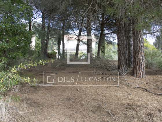 Imagem da propriedade : 3