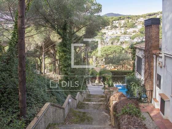 Imagem da propriedade : 3