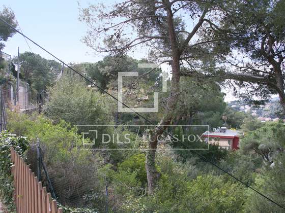 Imagem da propriedade : 3