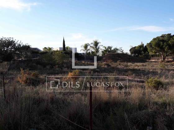 Imagem da propriedade : 2