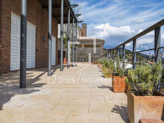 Imagem da propriedade : 3