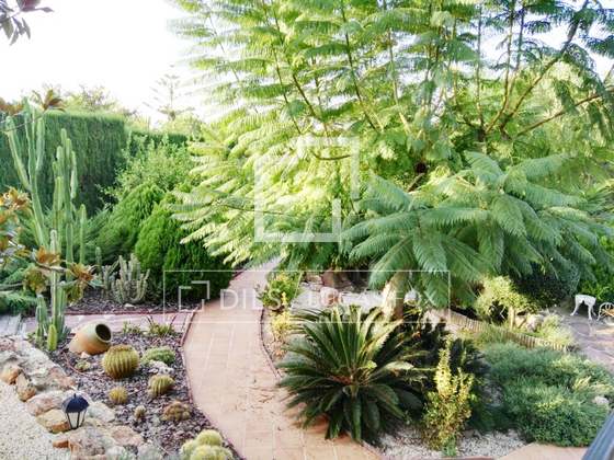 Imagem da propriedade : 4