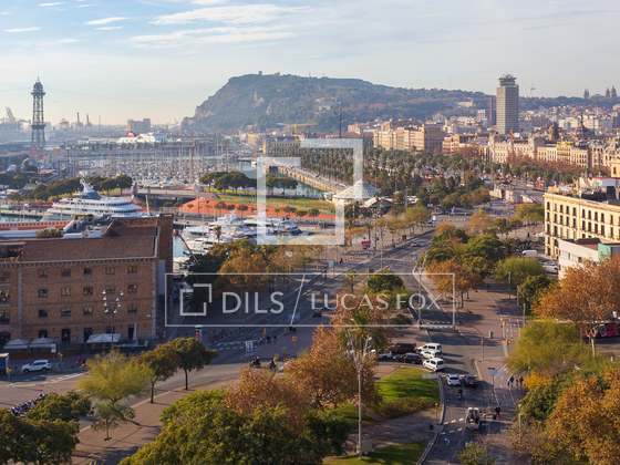 Immagine della proprietà : 4