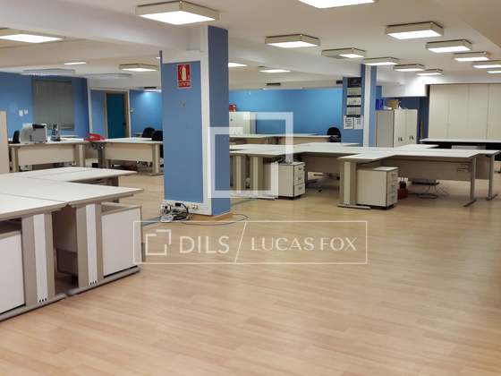 Imagem da propriedade : 4