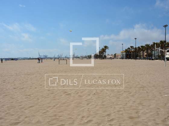 Imagem da propriedade : 4