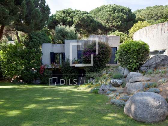 Imagem da propriedade : 3