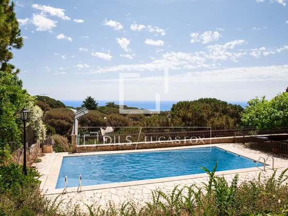 Imagem da propriedade : 4