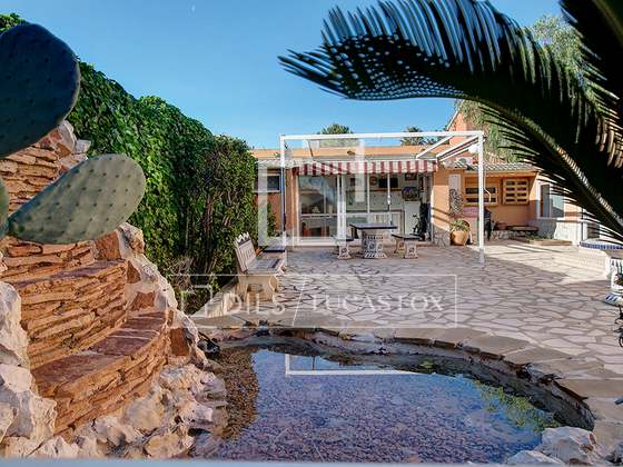 Imagem da propriedade : 3