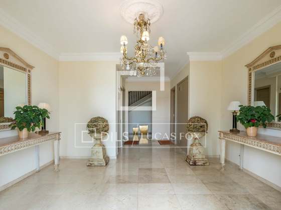 Imagem da propriedade : 4