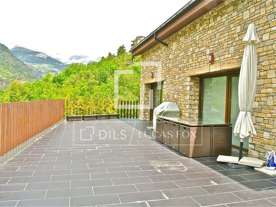 Imagem da propriedade : 3