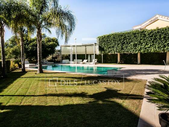 Imagem da propriedade : 4