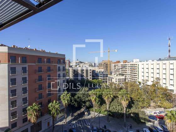 Imagem da propriedade : 3