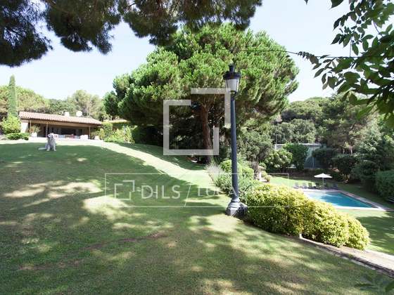 Imagem da propriedade : 4