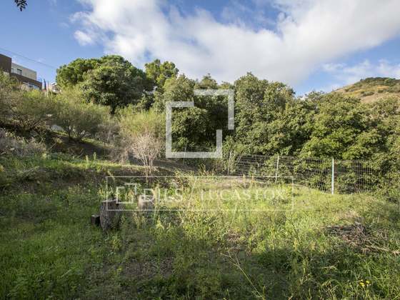 Imagem da propriedade : 4