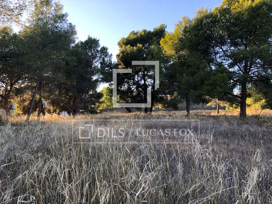 Imagem da propriedade : 3