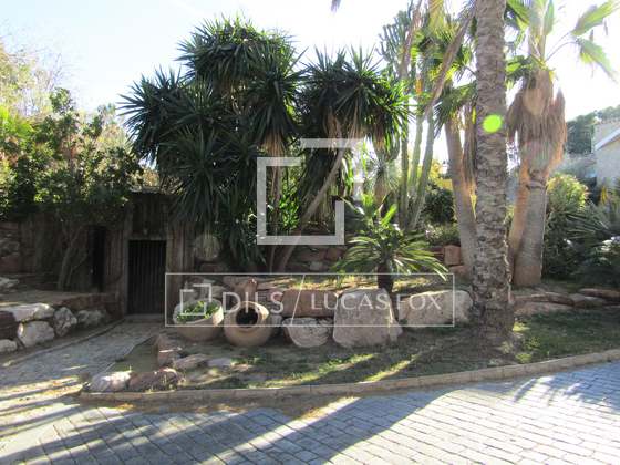 Imagem da propriedade : 3