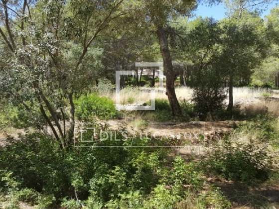 Imagem da propriedade : 3