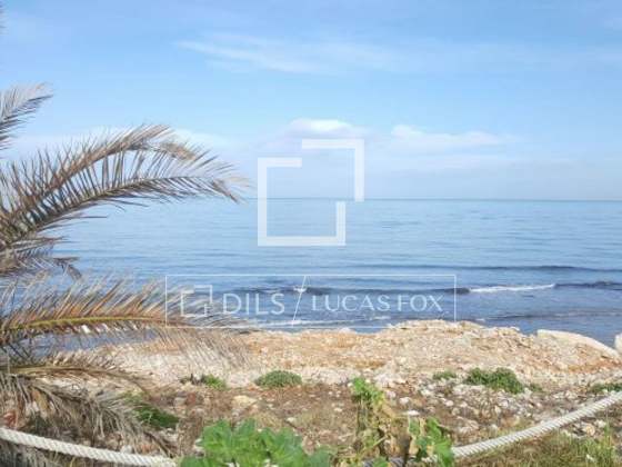 Imagem da propriedade : 3