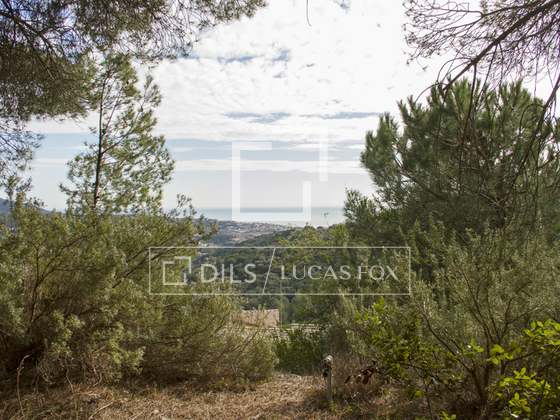 Imagem da propriedade : 2