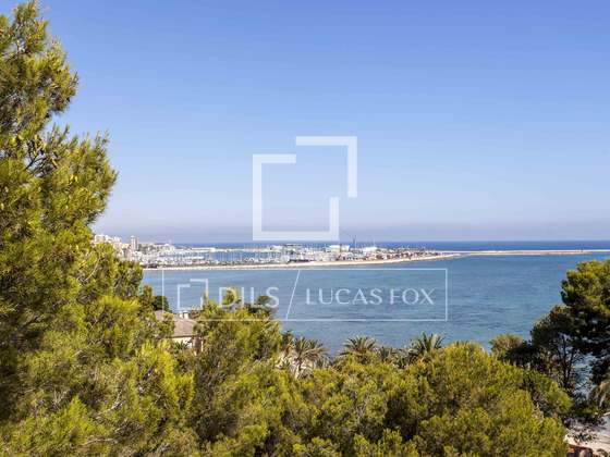 Imagem da propriedade : 2