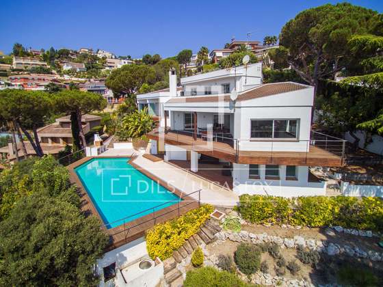 Imagem da propriedade : 4