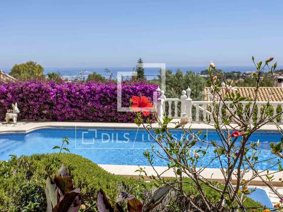 Imagem da propriedade : 3