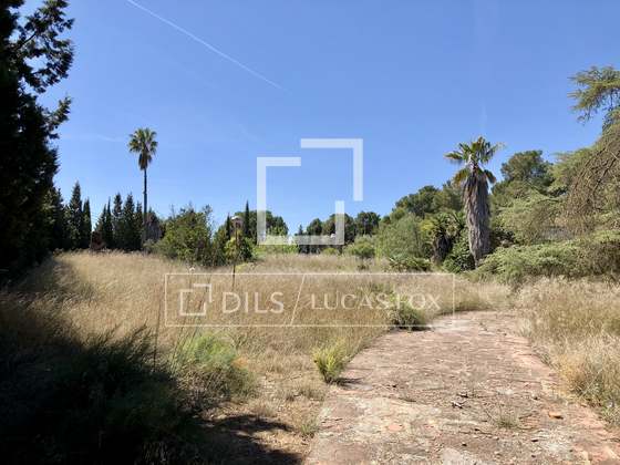 Imagem da propriedade : 2