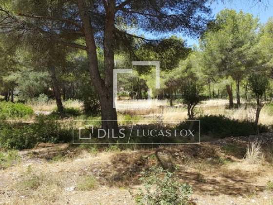 Imagem da propriedade : 2