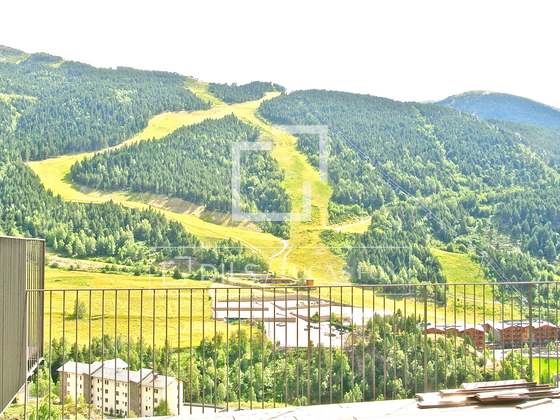 Imagem da propriedade : 4