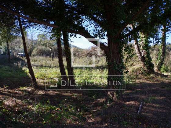 Imagem da propriedade : 4