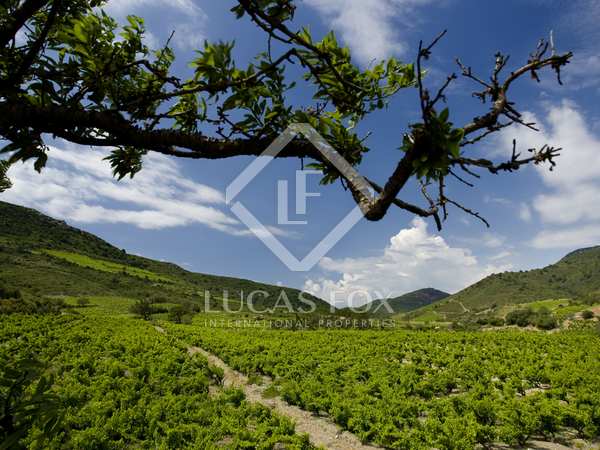 Winery van te koop in Ribera del Duero, Spanje