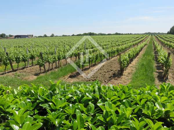 46,100m² vineyard for sale in Montpellier, France