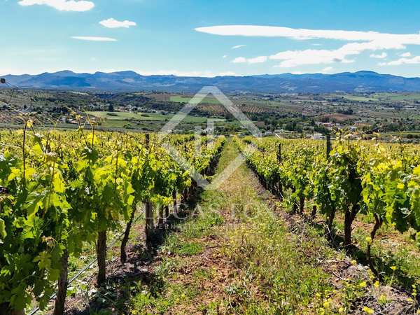 Vignobles de 850m² a vendre à Axarquia, Malaga
