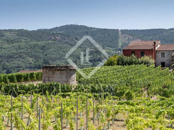 300m² vineyard for sale in Ourense, Galicia